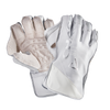 Chase R11 Wicket Keeping Gloves