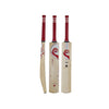 BlueRoom Pro Cricket Bat