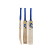 BlueRoom County Junior Cricket Bat