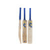 BlueRoom Limited Edition Junior Cricket Bat