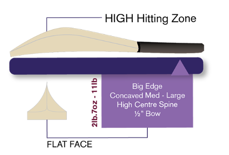 BlueRoom Elite Junior Cricket Bat