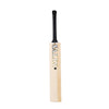Salix AMP Marque Cricket Bat - The Cricket Store