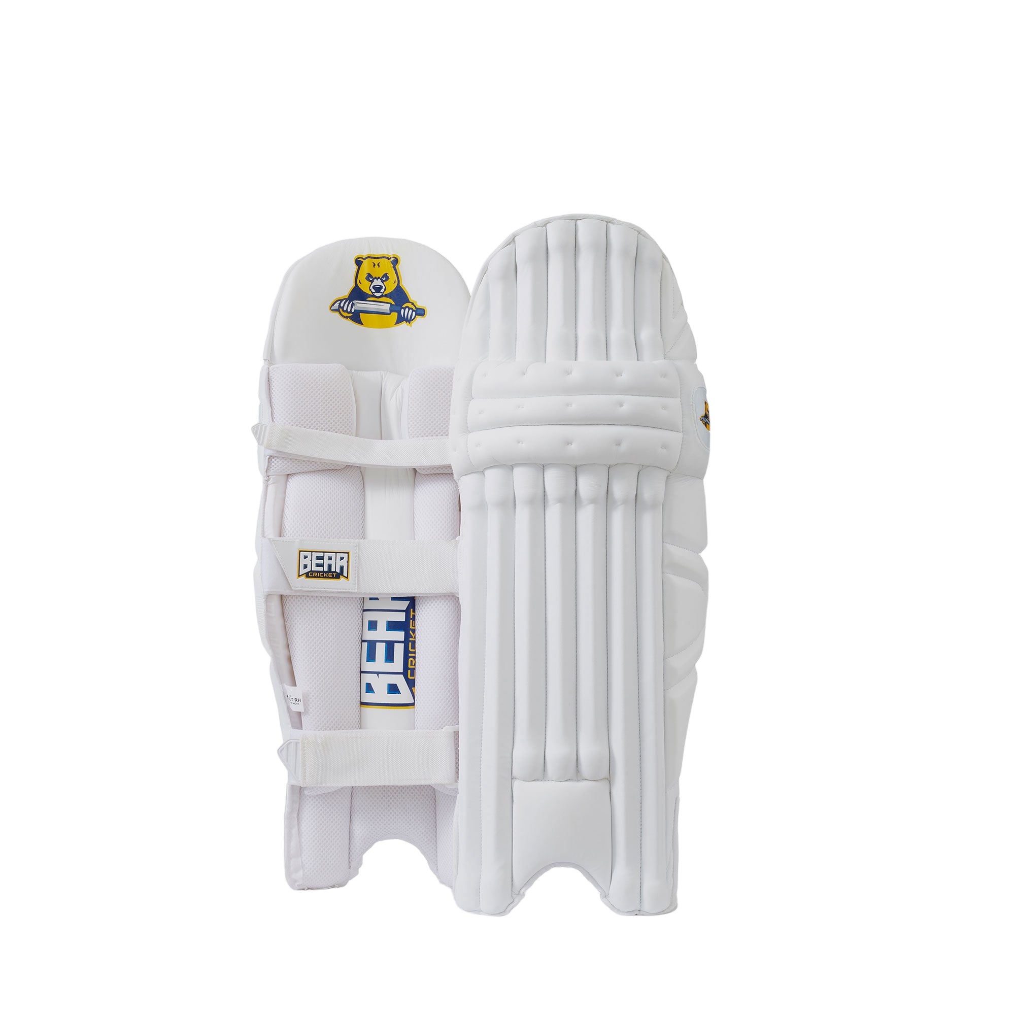 Bear Cricket Pro Batting Pads - The Cricket Store