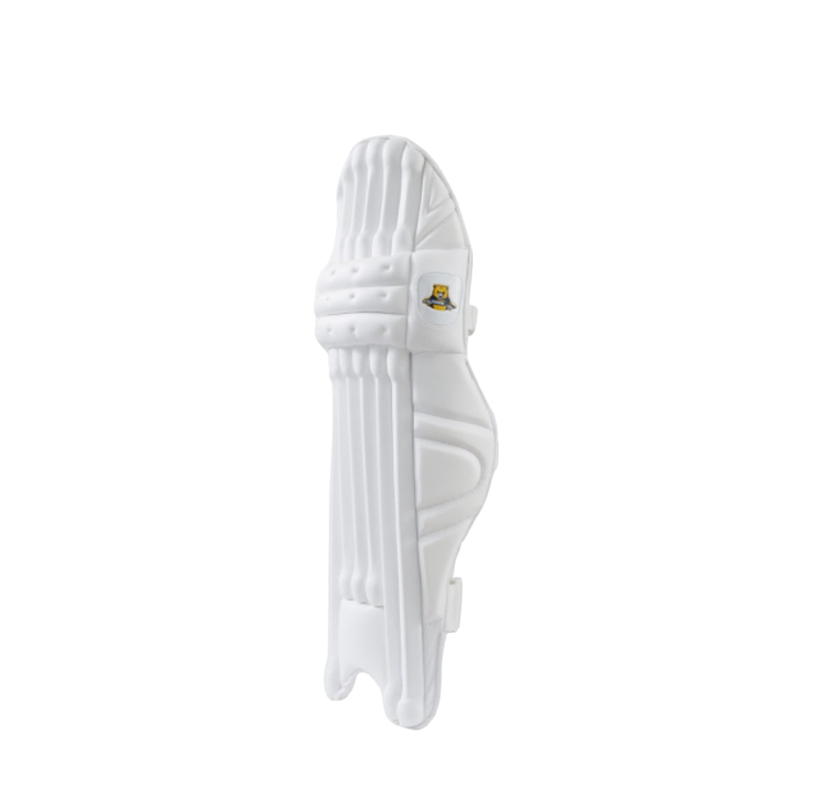 Bear Cricket Pro Batting Pads - The Cricket Store