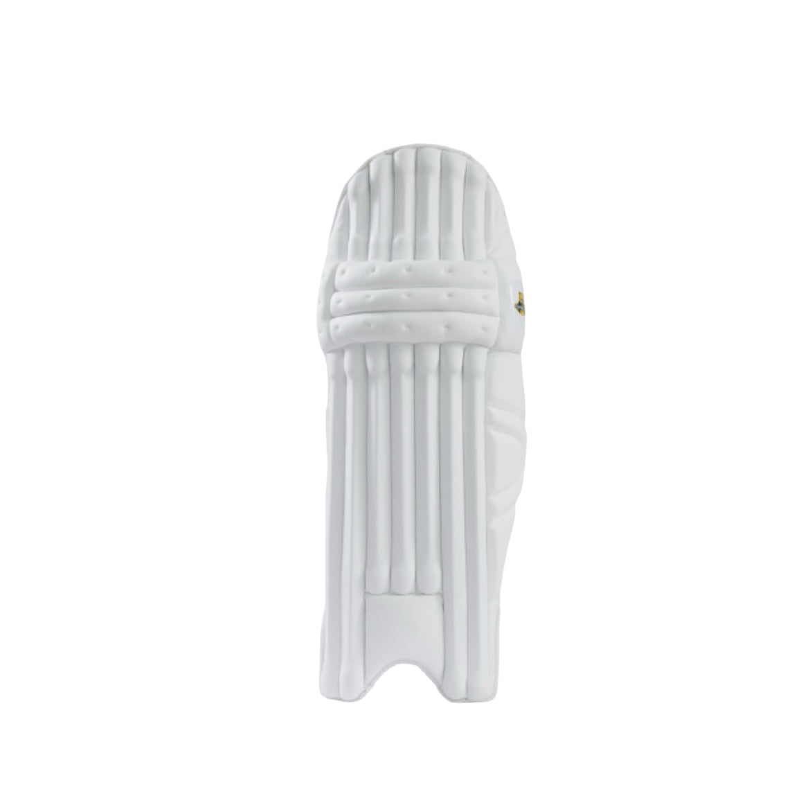 Bear Cricket Pro Batting Pads - The Cricket Store