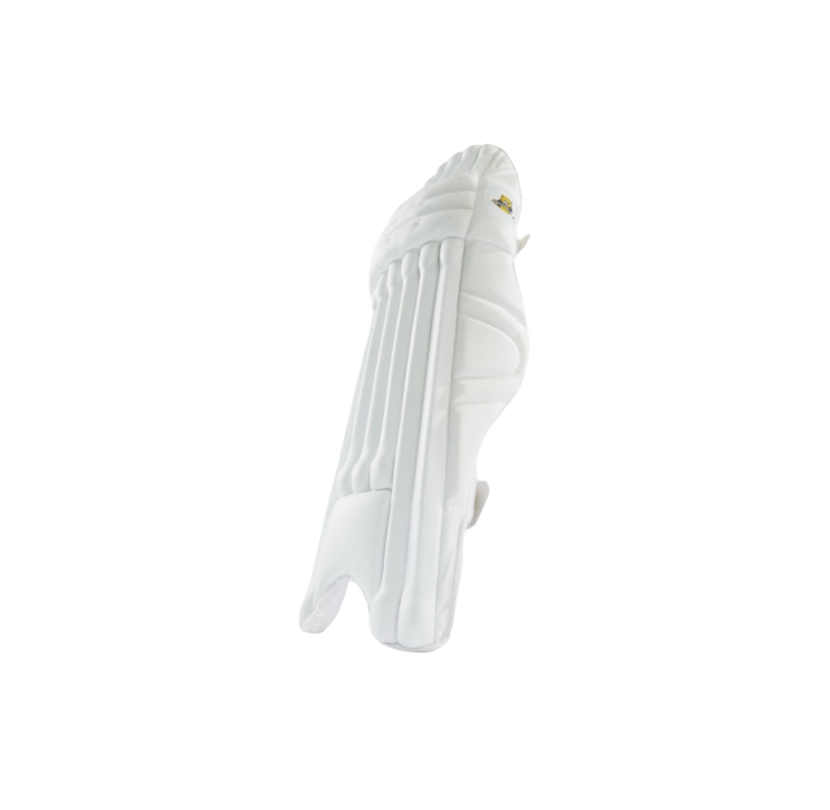 Bear Cricket Pro Batting Pads - The Cricket Store