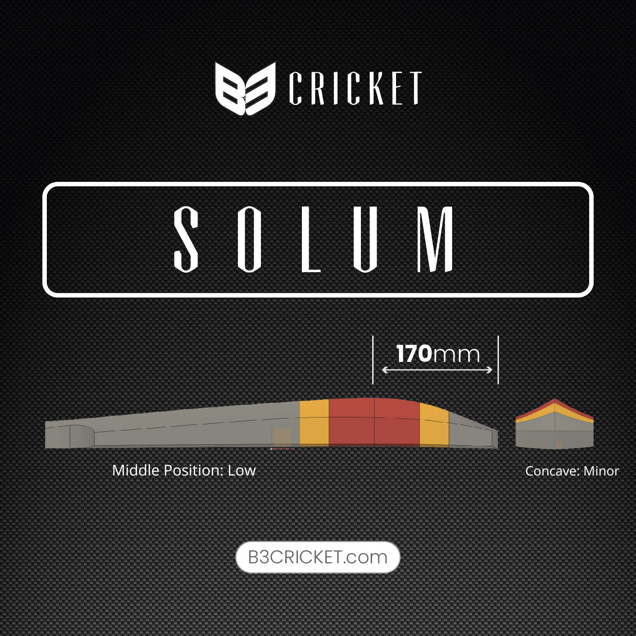 B3 Cricket Solum Excel (Grade 3) Cricket Bat - The Cricket Store