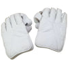 Scott Cricket Wicket Keeping Gloves - The Cricket Store