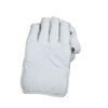 Scott Cricket Wicket Keeping Gloves - The Cricket Store